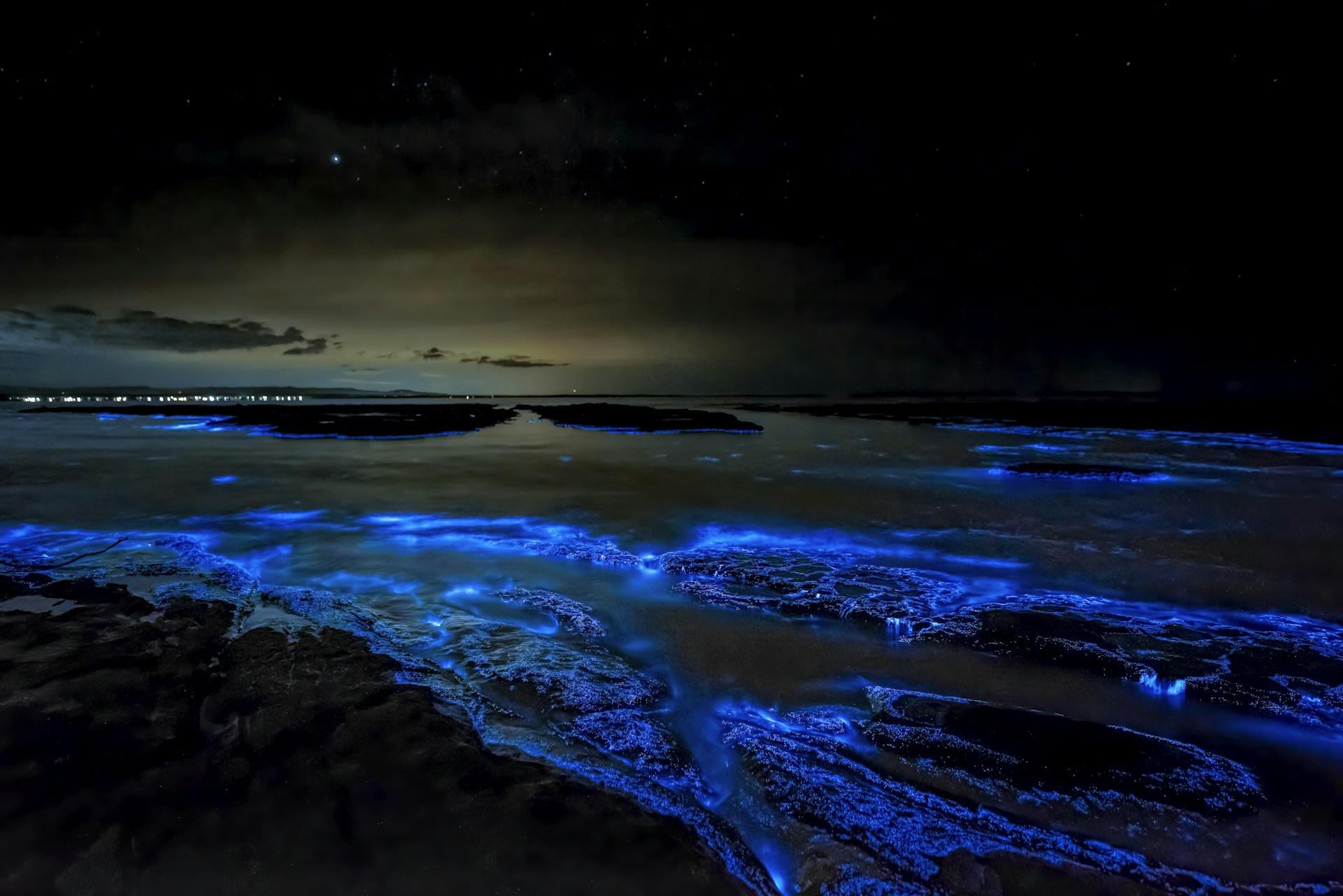 Vieques bioluminescent bay: day trip or stay overnight?