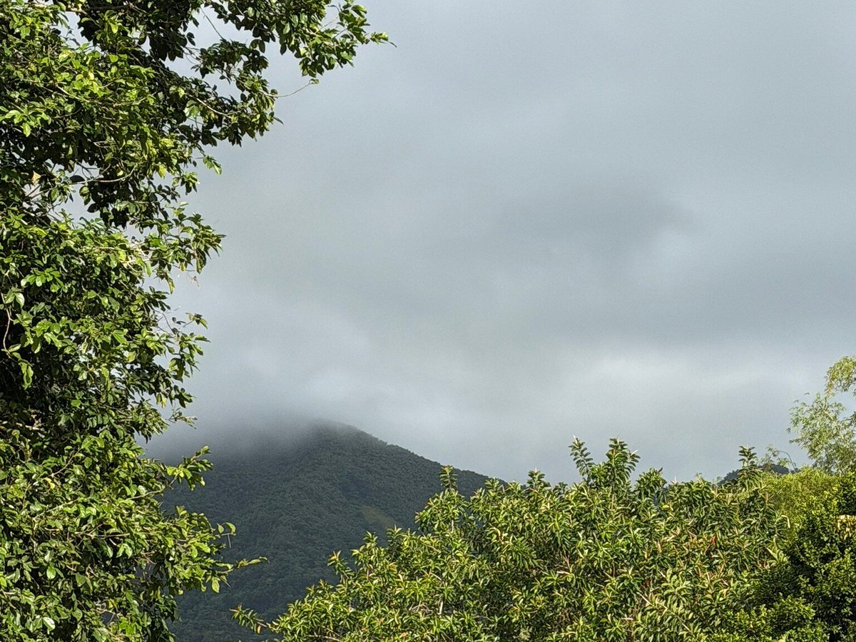When is the best time to visit El Yunque? A month-by-month guide