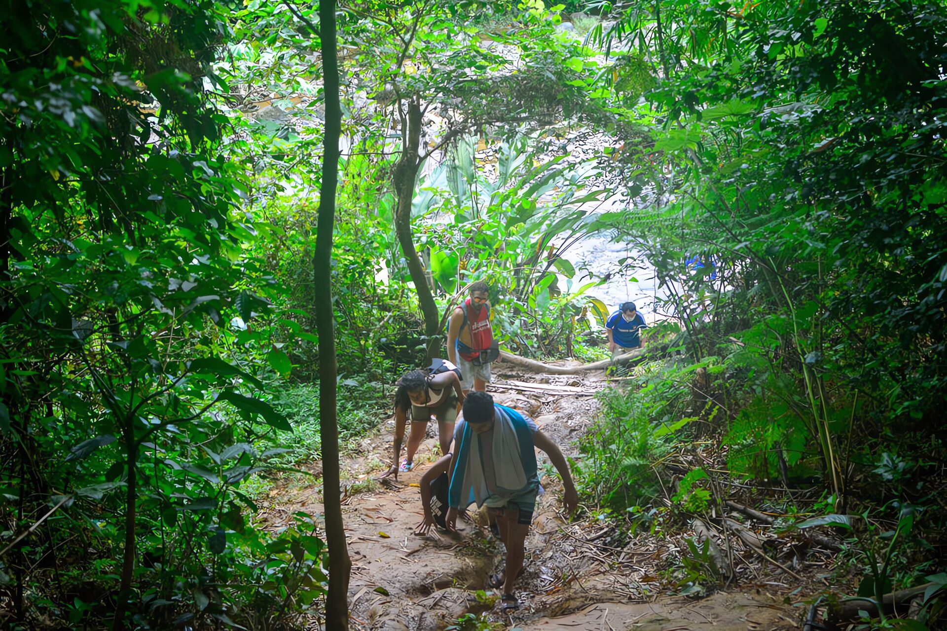 El Yunque, journée vibrante en forêt tropicale