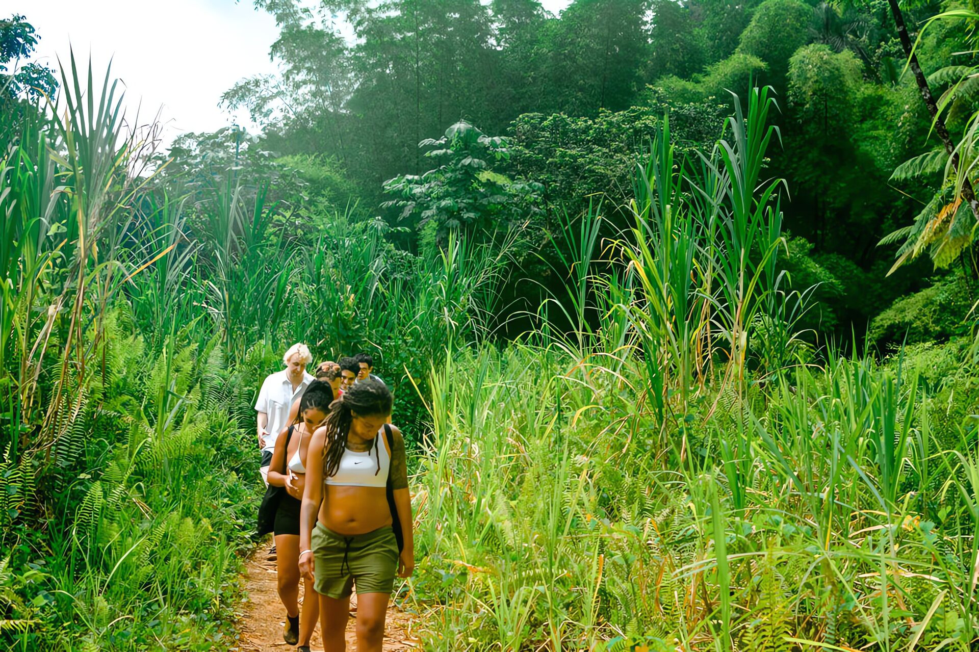 El Yunque, journée vibrante en forêt tropicale — photo 2