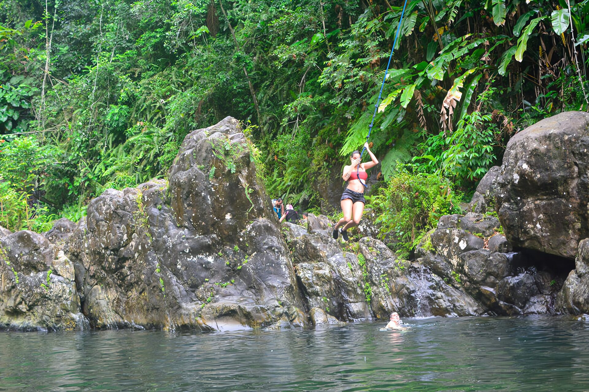 El Yunque, journée vibrante en forêt tropicale — photo 1