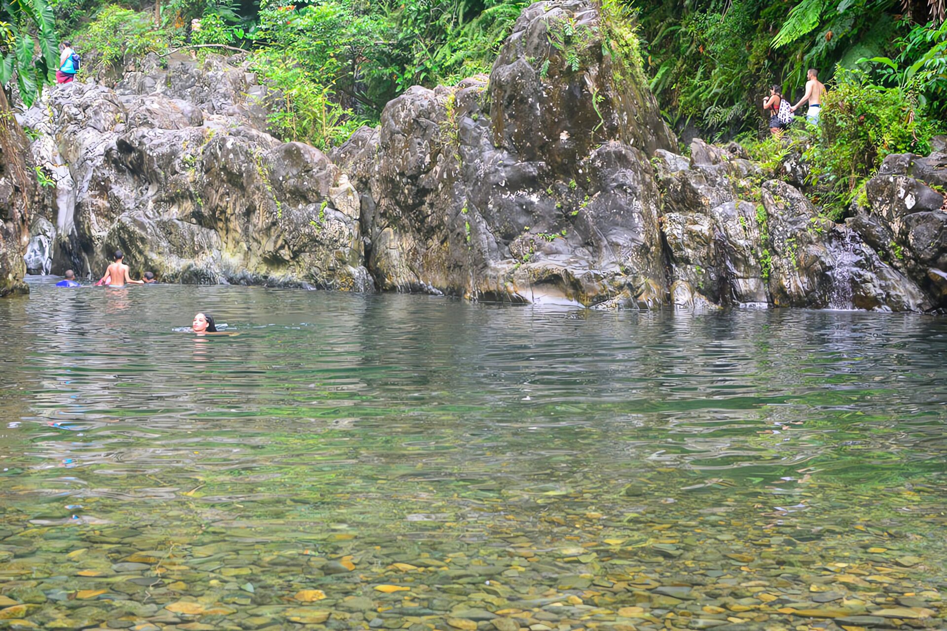 El Yunque, journée vibrante en forêt tropicale — photo 4