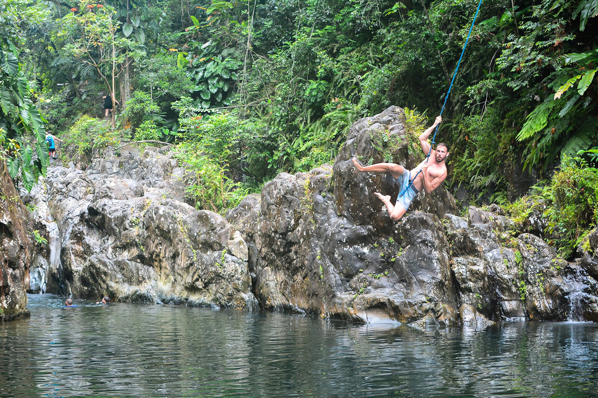 El Yunque, journée vibrante en forêt tropicale — photo 5